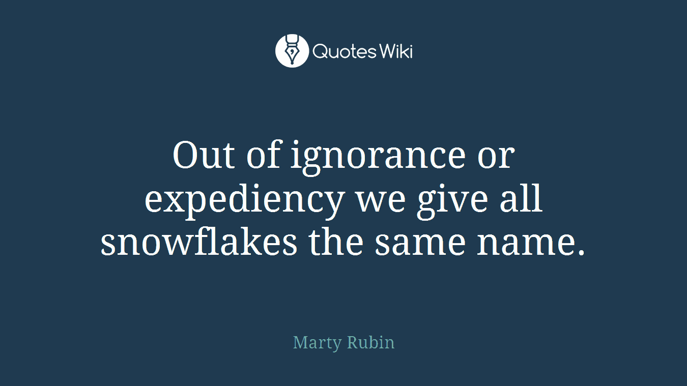 Out of ignorance or expediency we give all snowflakes the same name.