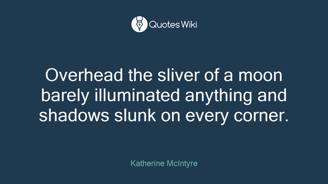 Overhead the sliver of a moon barely illuminated anything and shadows slunk on every corner.