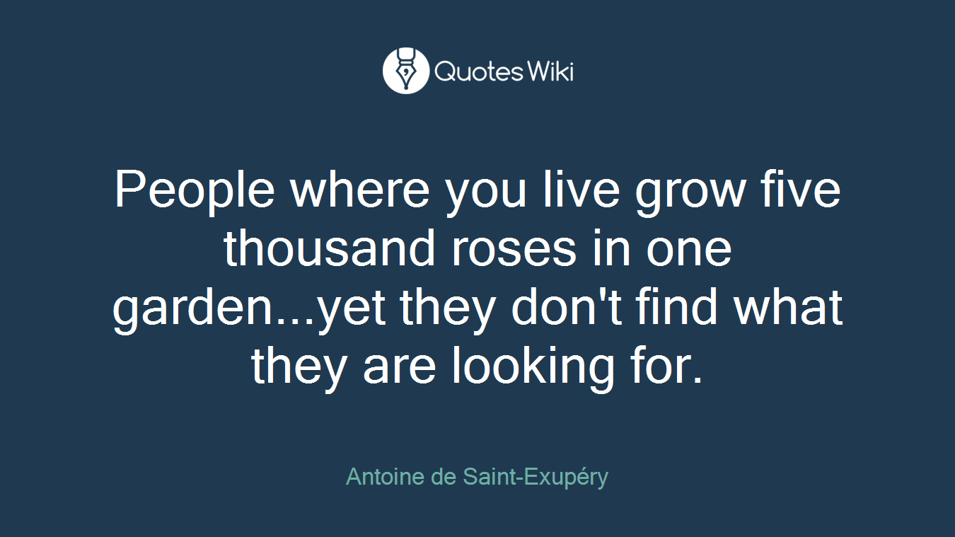 People where you live grow five thousand roses in one garden...yet they don't find what they are looking for.