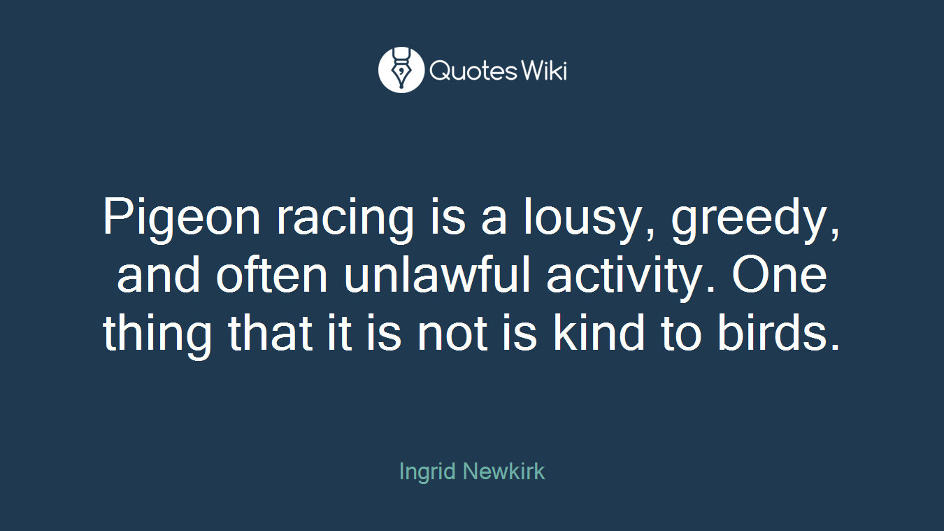Pigeon racing is a lousy, greedy, and often unlawful activity. One thing that it is not is kind to birds.
