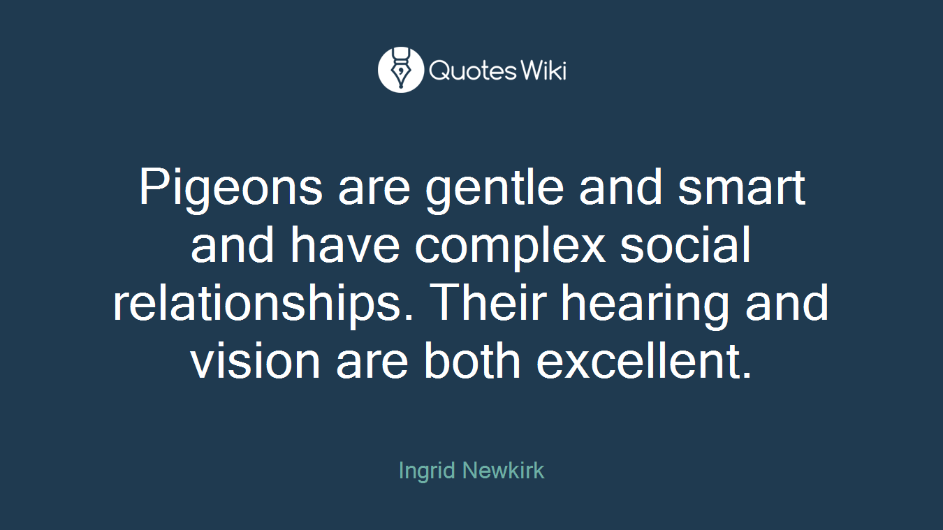 Pigeons are gentle and smart and have complex social relationships. Their hearing and vision are both excellent.