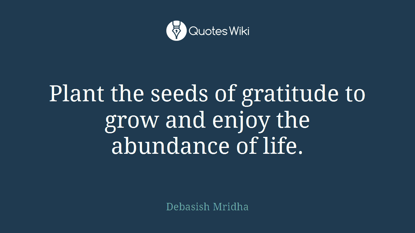 Plant the seeds of gratitude to grow and enjoy the abundance of life.