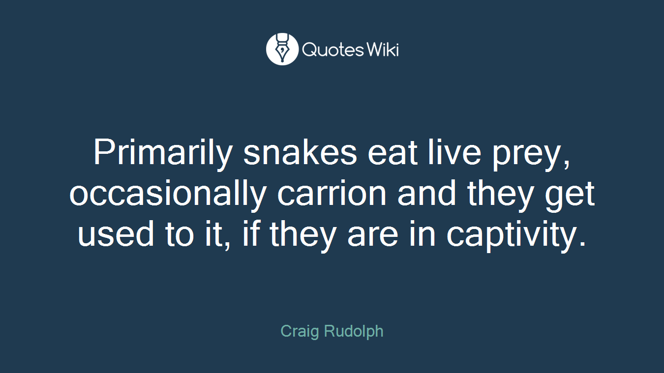 Primarily snakes eat live prey, occasionally carrion and they get used to it, if they are in captivity.