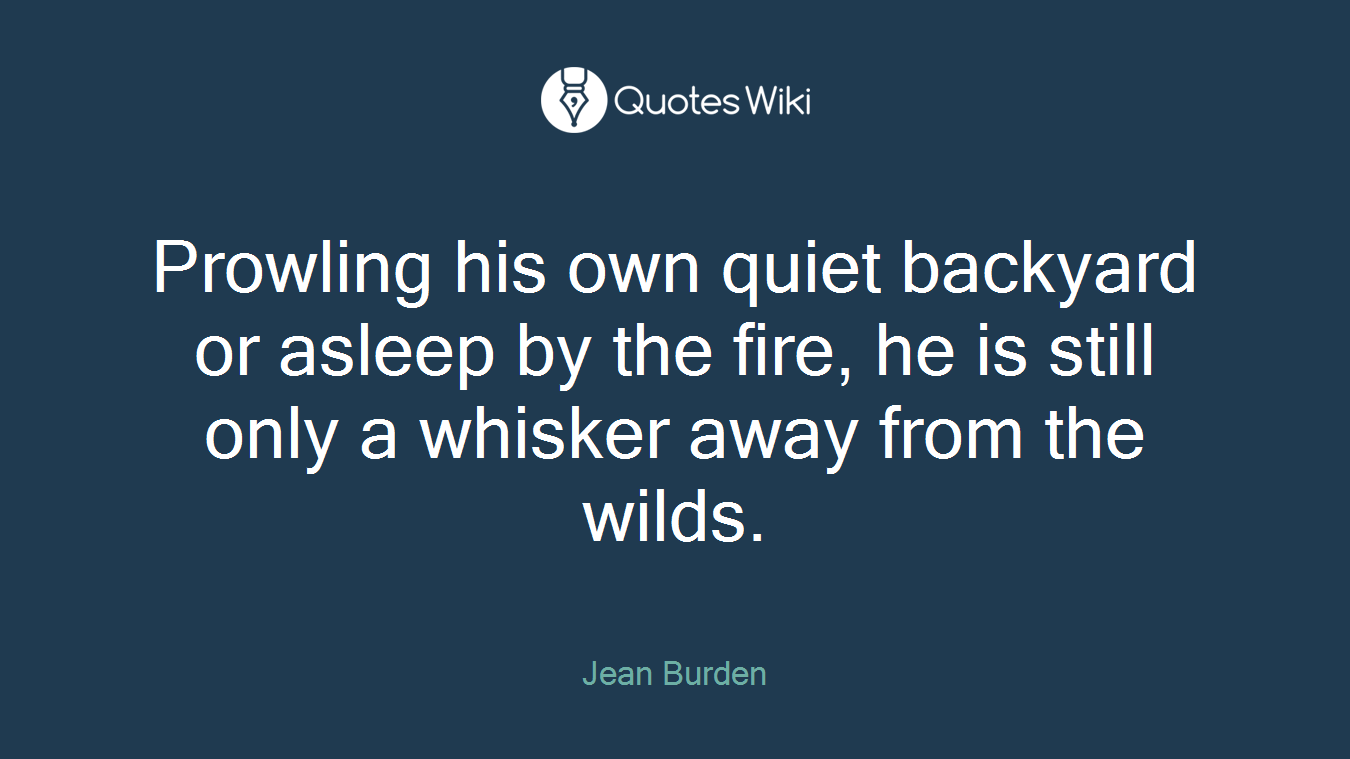 Prowling his own quiet backyard or asleep by the fire, he is still only a whisker away from the wilds.