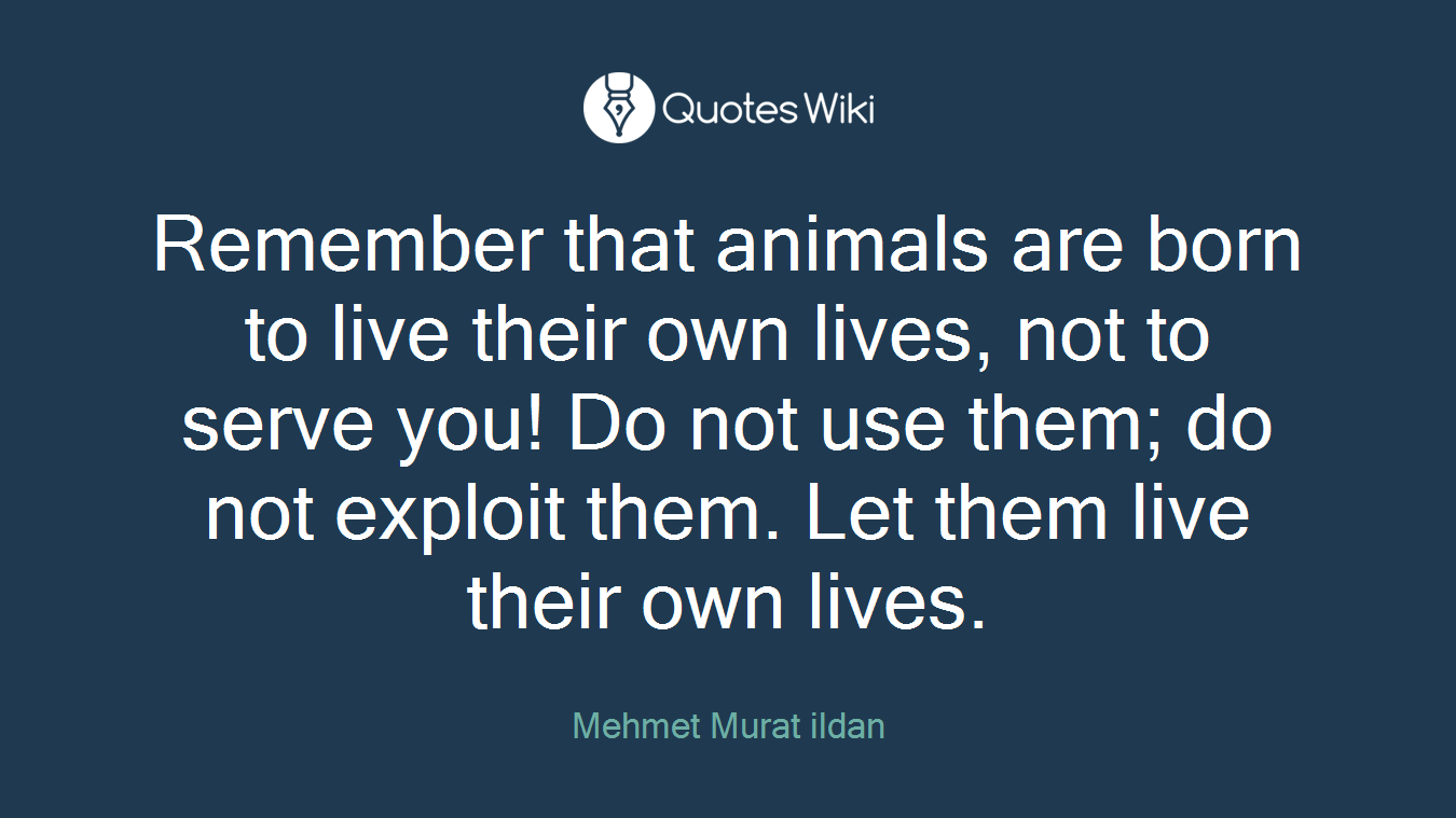 Remember that animals are born to live their own lives, not to serve you! Do not use them; do not exploit them. Let them live their own lives.