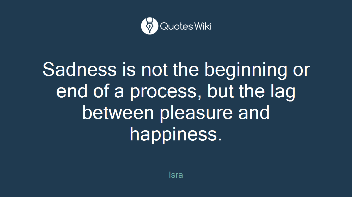 Sadness is not the beginning or end of a process, but the lag between pleasure and happiness.