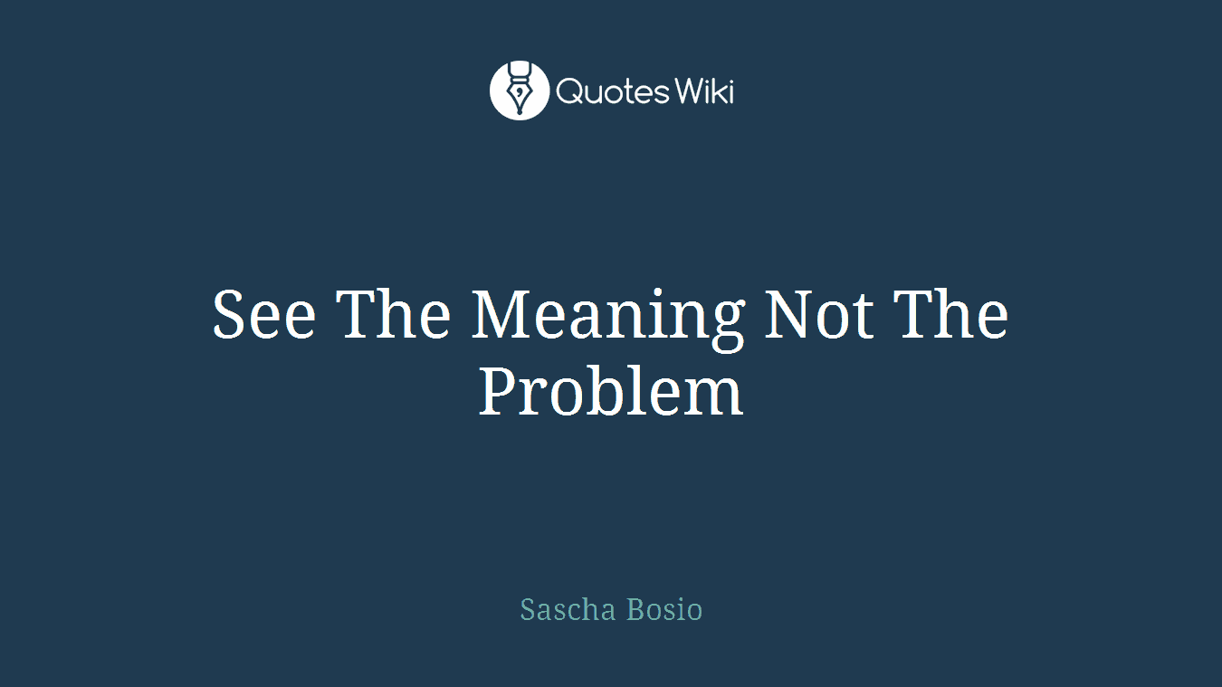 See The Meaning Not The Problem