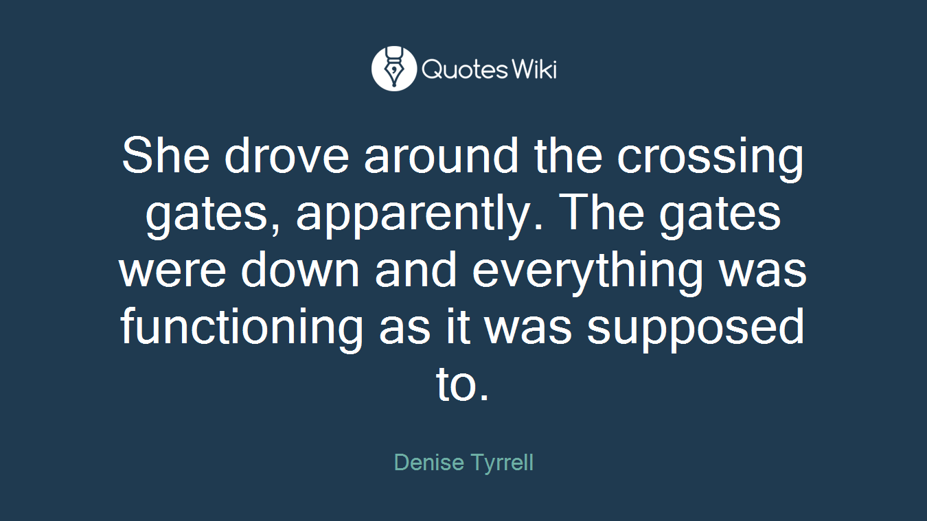 She drove around the crossing gates, apparently. The gates were down and everything was functioning as it was supposed to.