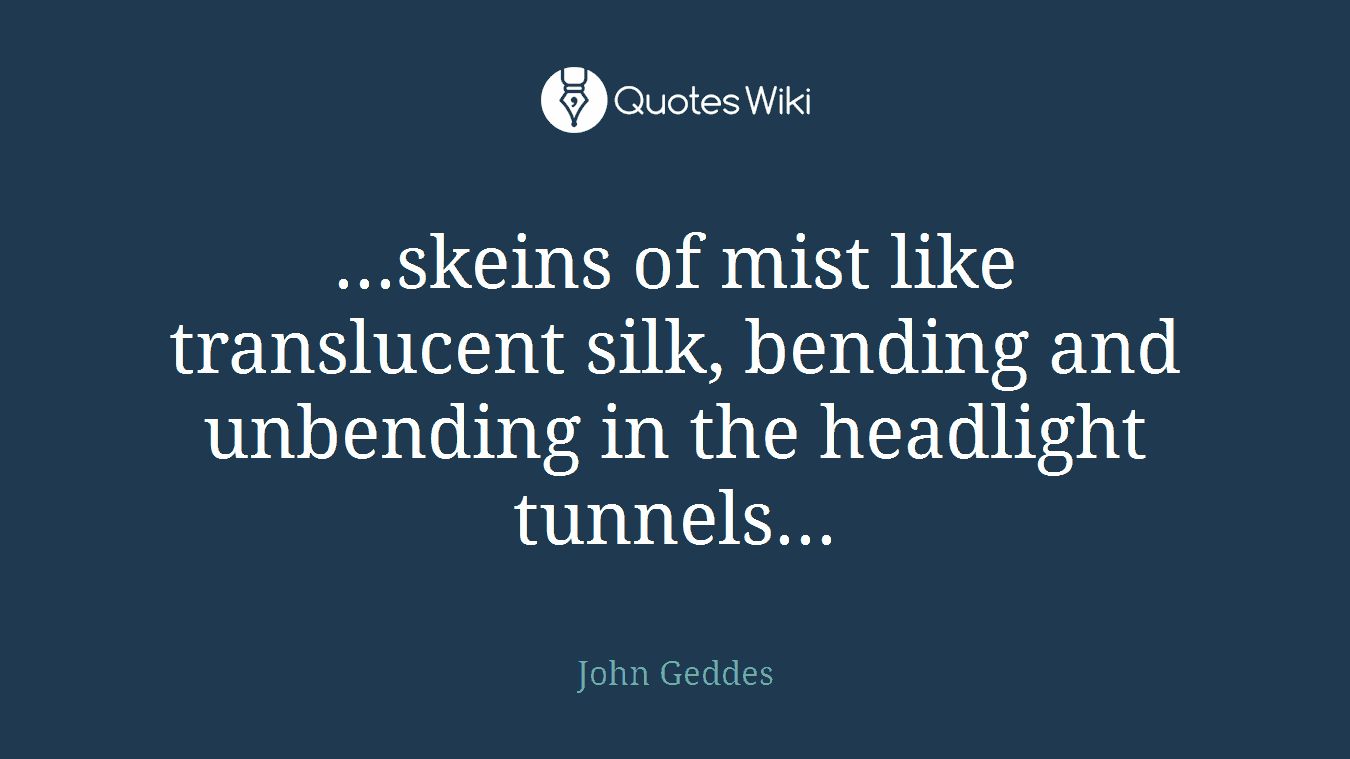 ...skeins of mist like translucent silk, bending and unbending in the headlight tunnels...