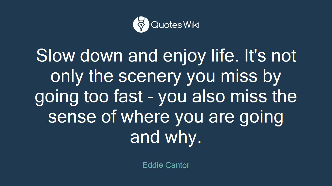 Slow down and enjoy life. It's not only the scenery you miss by going too fast - you also miss the sense of where you are going and why.