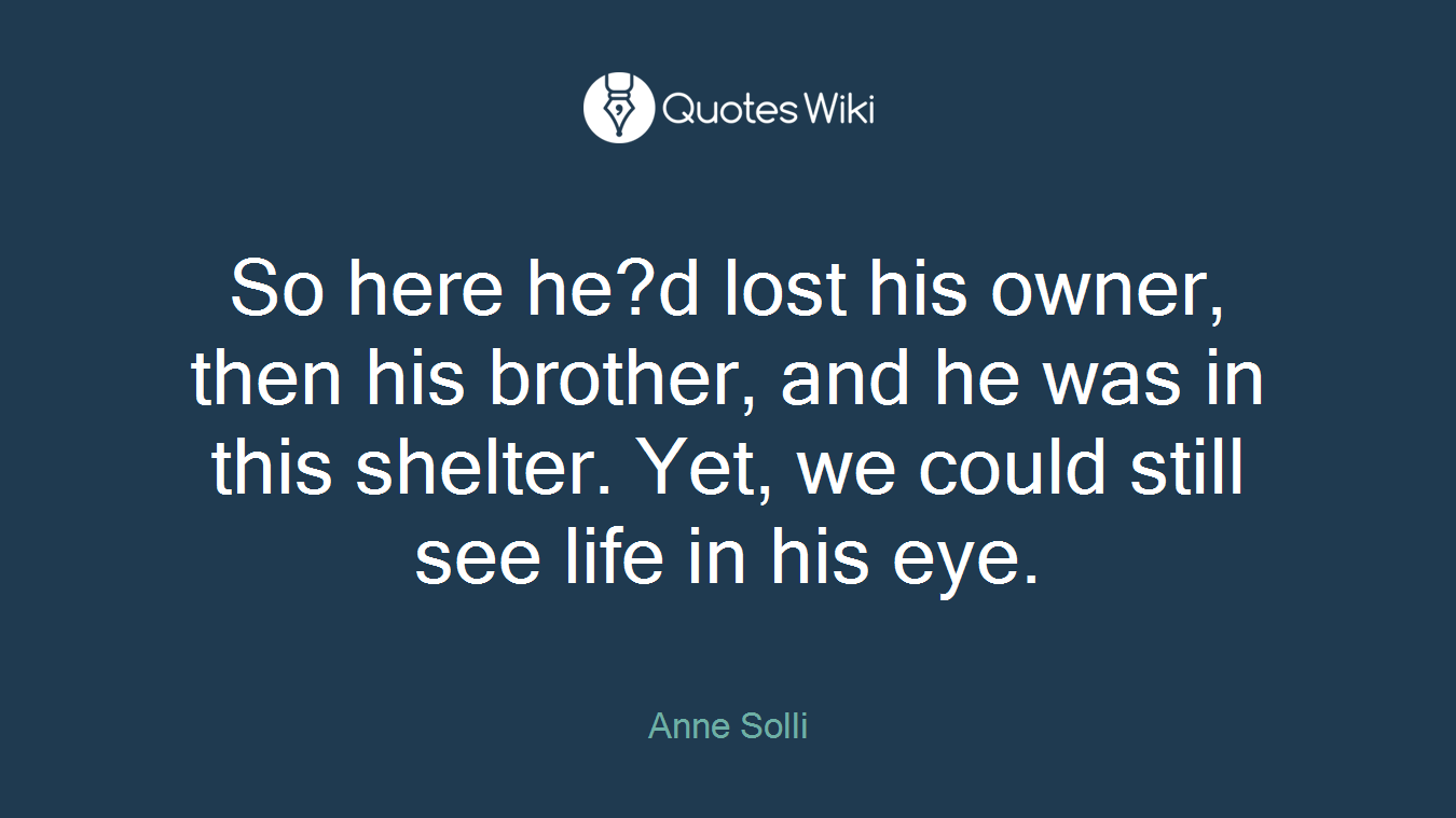 So here he?d lost his owner, then his brother, and he was in this shelter. Yet, we could still see life in his eye.