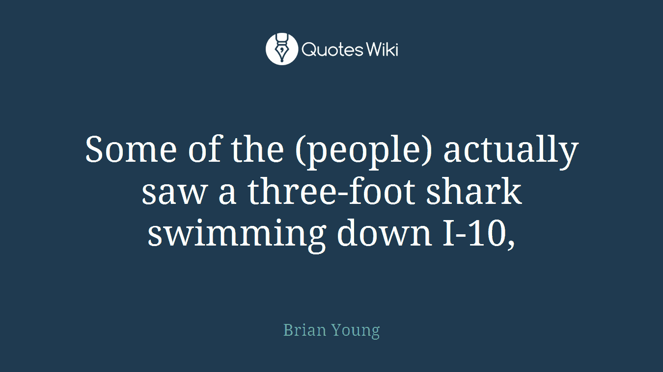 Some of the (people) actually saw a three-foot shark swimming down I-10,