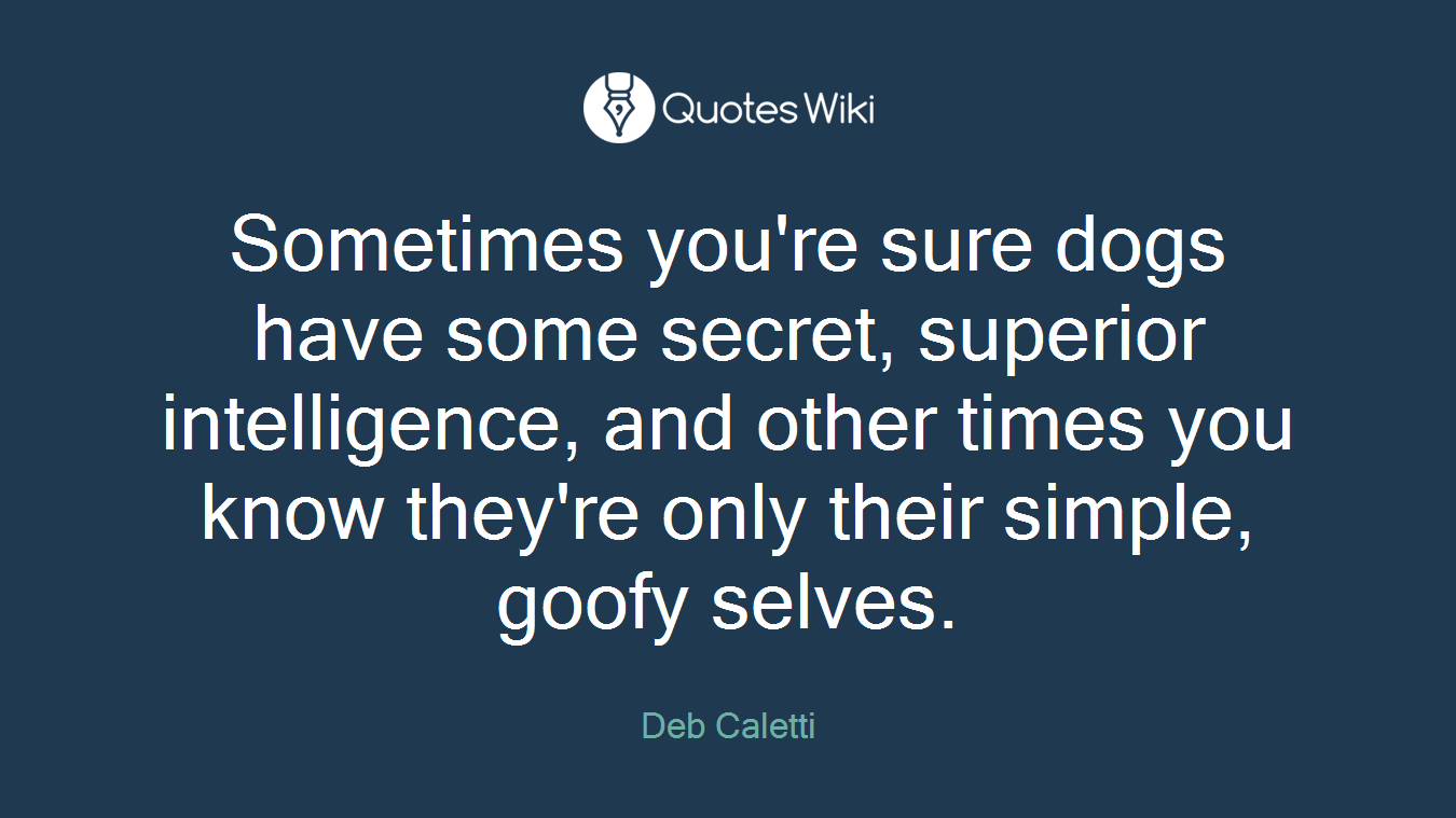 Sometimes you're sure dogs have some secret, superior intelligence, and other times you know they're only their simple, goofy selves.