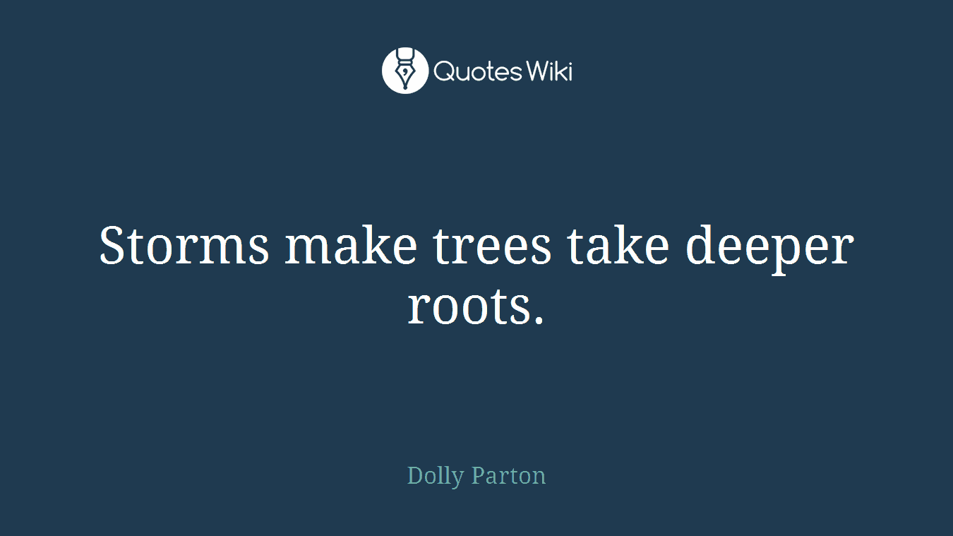Storms make trees take deeper roots.
