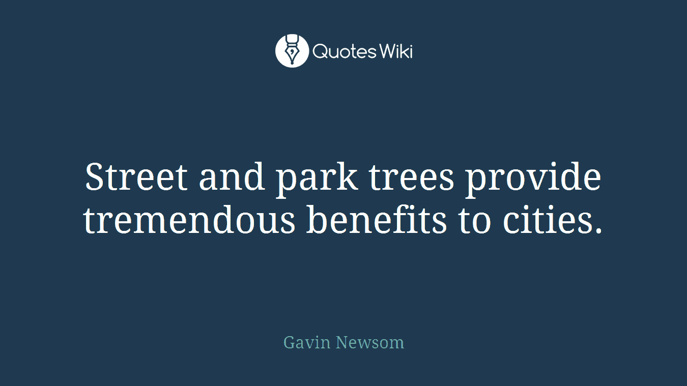 Street and park trees provide tremendous benefits to cities.
