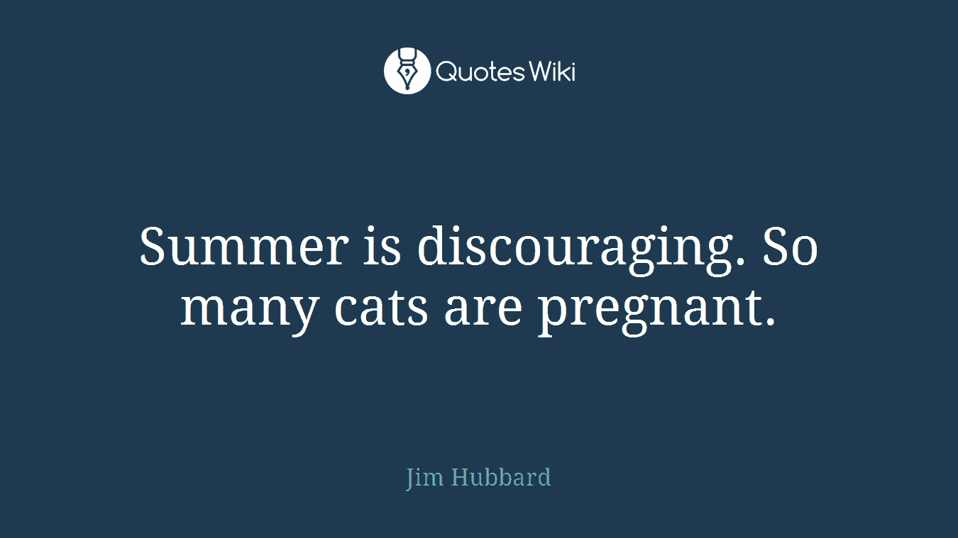 Summer is discouraging. So many cats are pregnant.