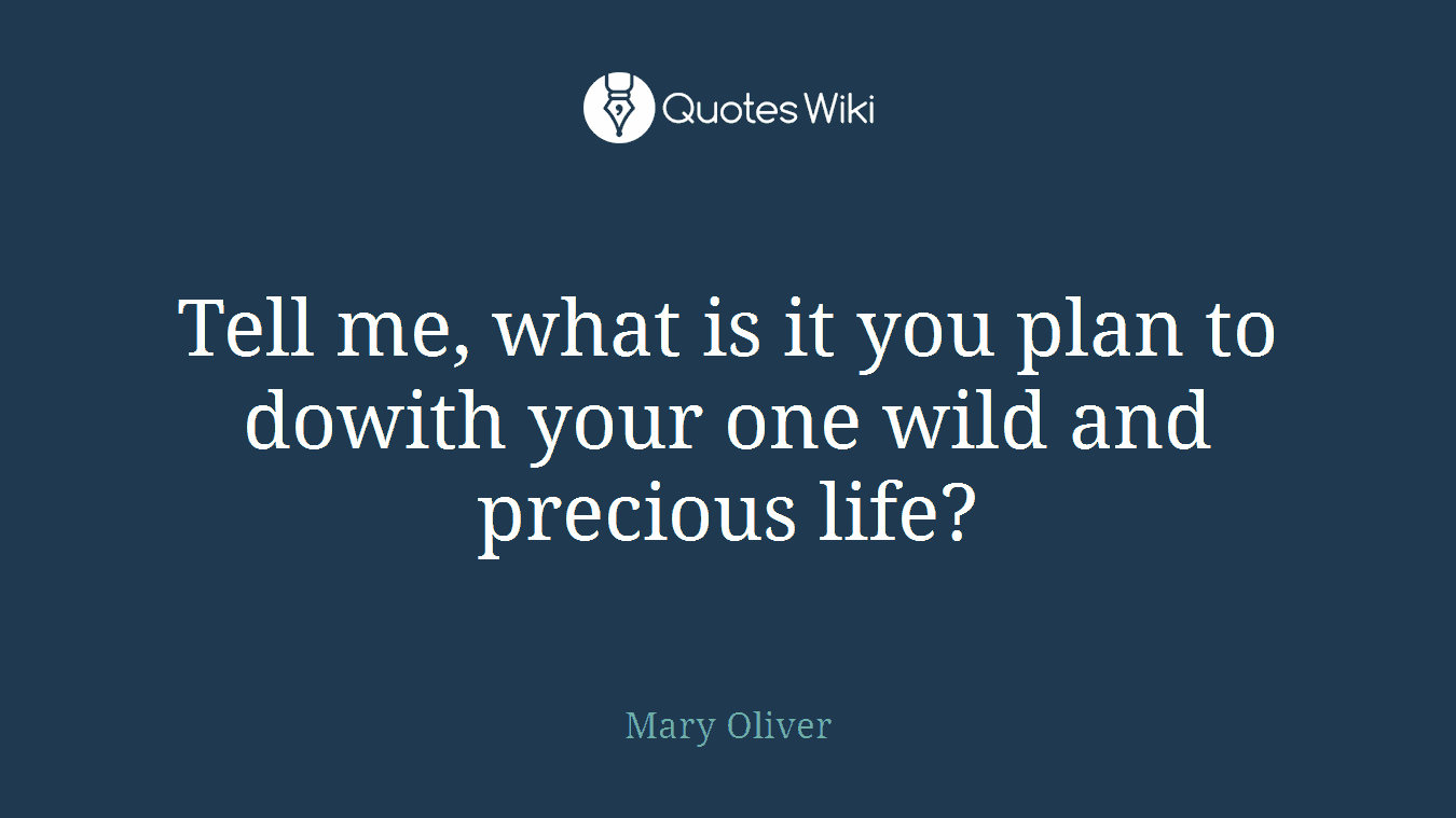 Tell me, what is it you plan to dowith your one wild and precious life?