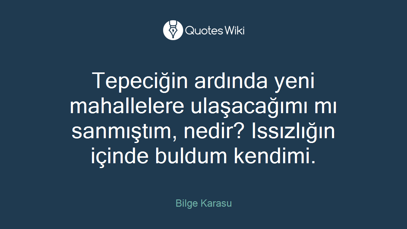 Tepeciğin ardında yeni mahallelere ulaşacağımı mı sanmıştım, nedir? Issızlığın içinde buldum kendimi.