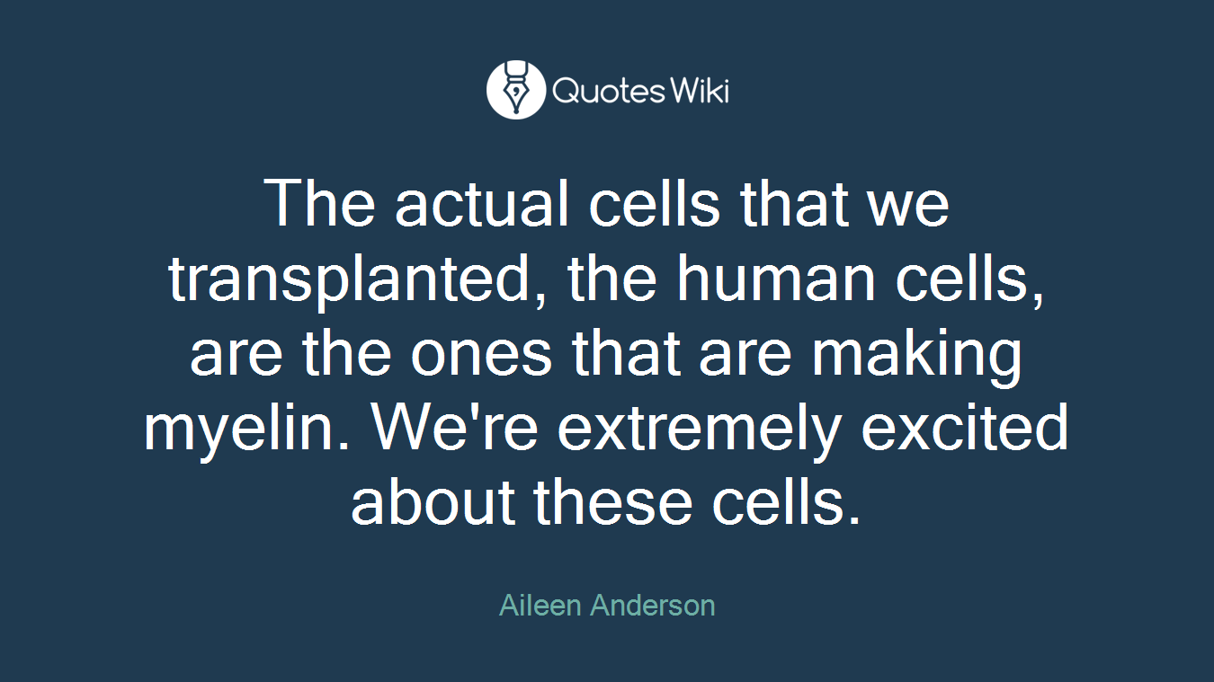 The actual cells that we transplanted, the human cells, are the ones that are making myelin. We're extremely excited about these cells.