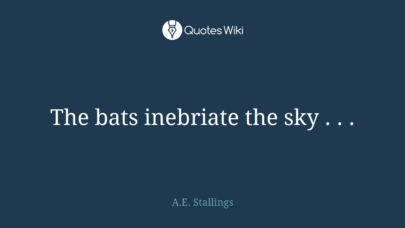 The bats inebriate the sky . . .