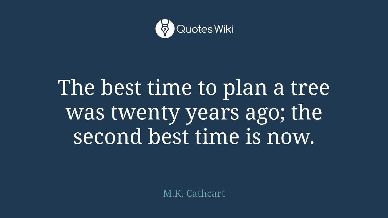 The best time to plan a tree was twenty years ago; the second best time is now.