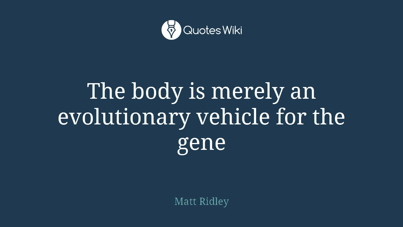 The body is merely an evolutionary vehicle for the gene