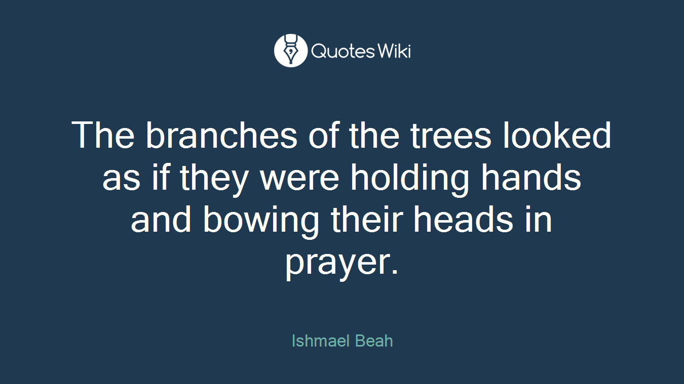The branches of the trees looked as if they were holding hands and bowing their heads in prayer.
