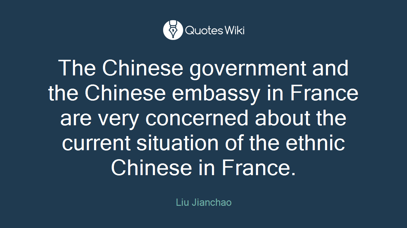 The Chinese government and the Chinese embassy in France are very concerned about the current situation of the ethnic Chinese in France.
