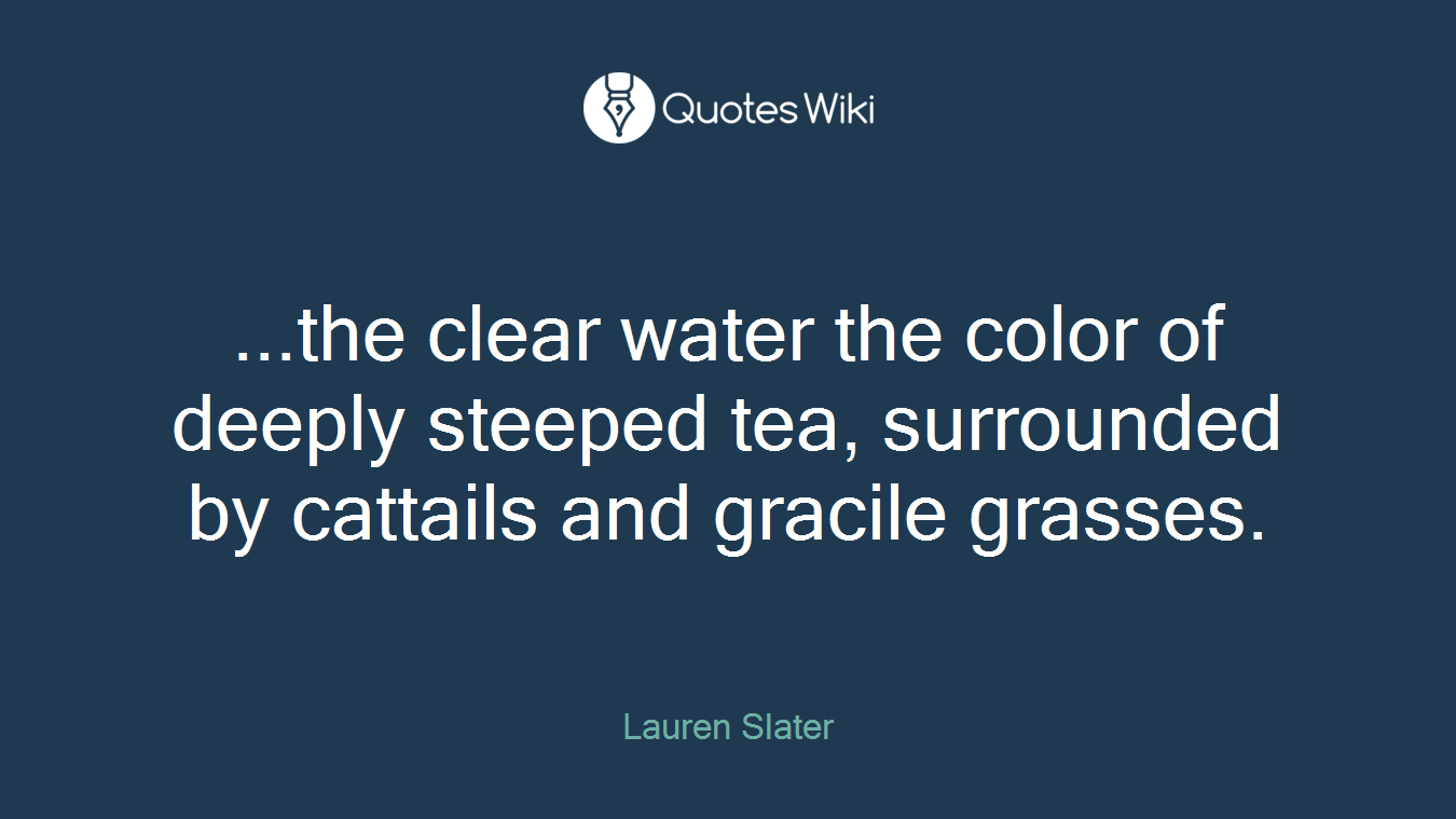 ...the clear water the color of deeply steeped tea, surrounded by cattails and gracile grasses.