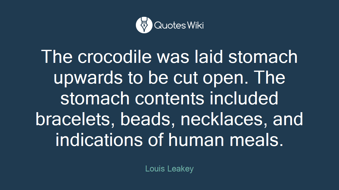 The crocodile was laid stomach upwards to be cut open. The stomach contents included bracelets, beads, necklaces, and indications of human meals.