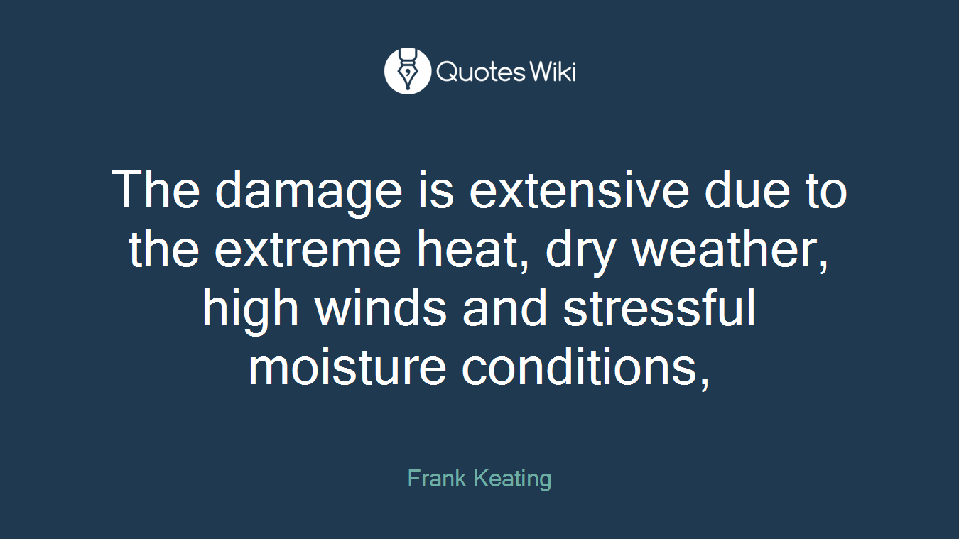 The damage is extensive due to the extreme heat, dry weather, high winds and stressful moisture conditions,