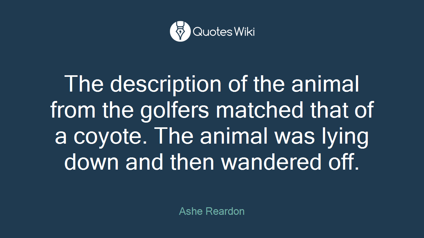 The description of the animal from the golfers matched that of a coyote. The animal was lying down and then wandered off.