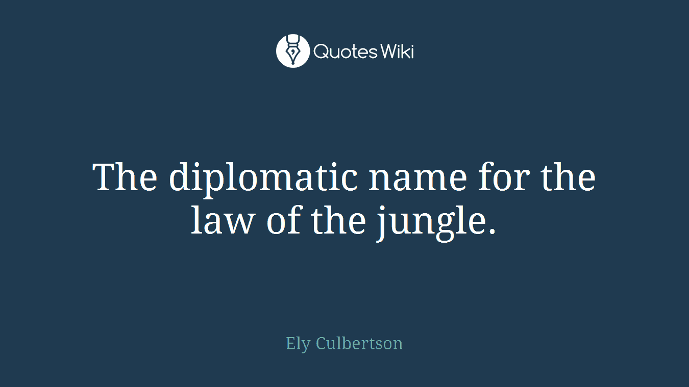 The diplomatic name for the law of the jungle.