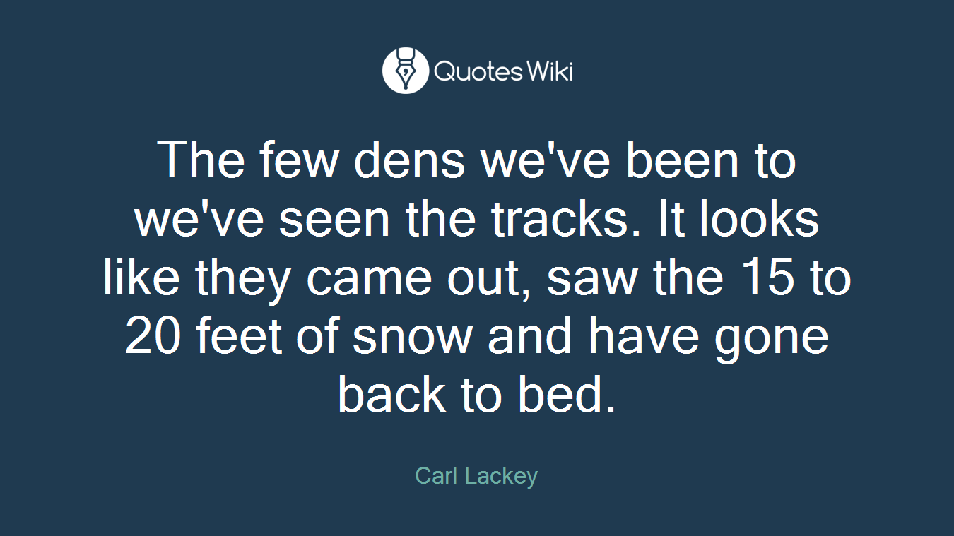 The few dens we've been to we've seen the tracks. It looks like they came out, saw the 15 to 20 feet of snow and have gone back to bed.