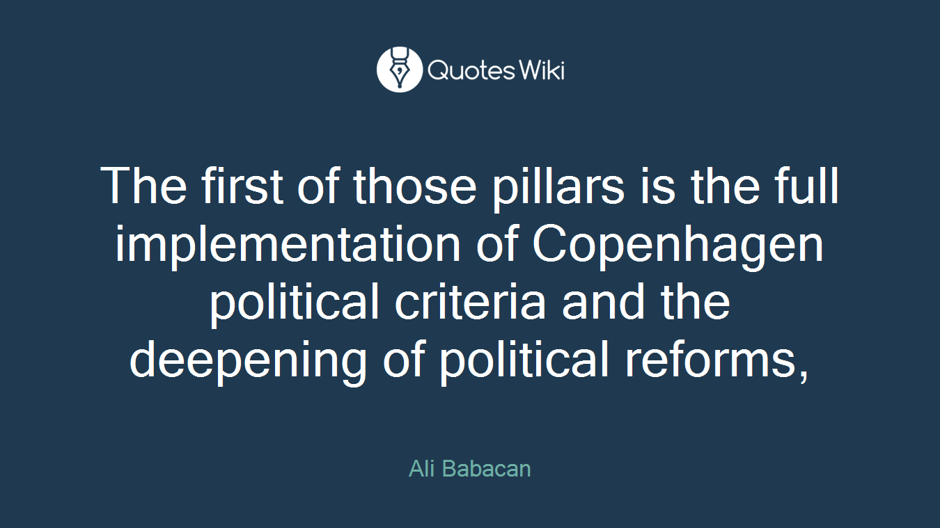 The first of those pillars is the full implementation of Copenhagen political criteria and the deepening of political reforms,