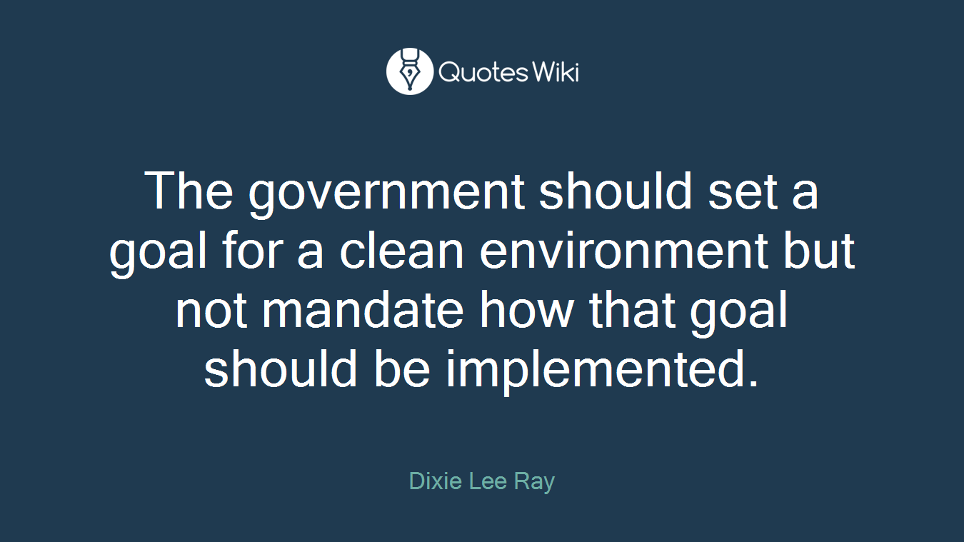 The government should set a goal for a clean environment but not mandate how that goal should be implemented.