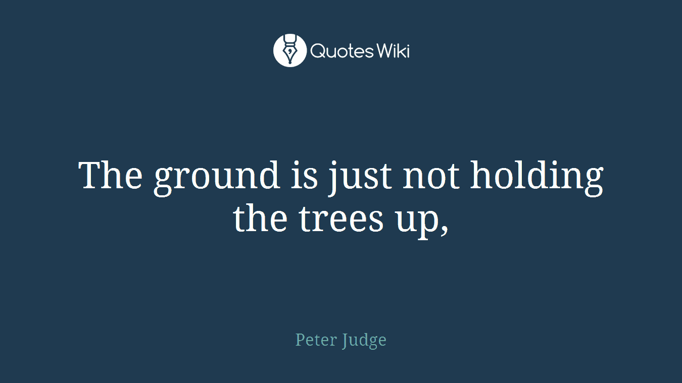 The ground is just not holding the trees up,