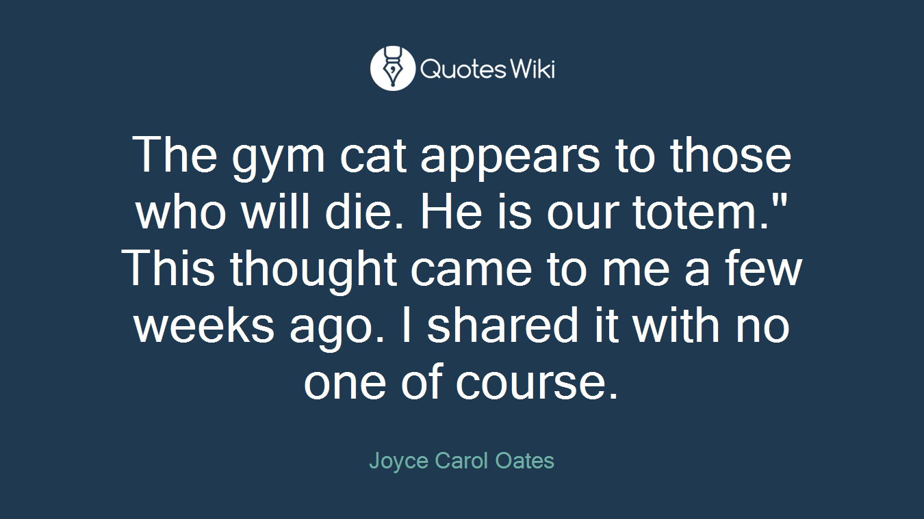 The gym cat appears to those who will die. He is our totem." This thought came to me a few weeks ago. I shared it with no one of course.
