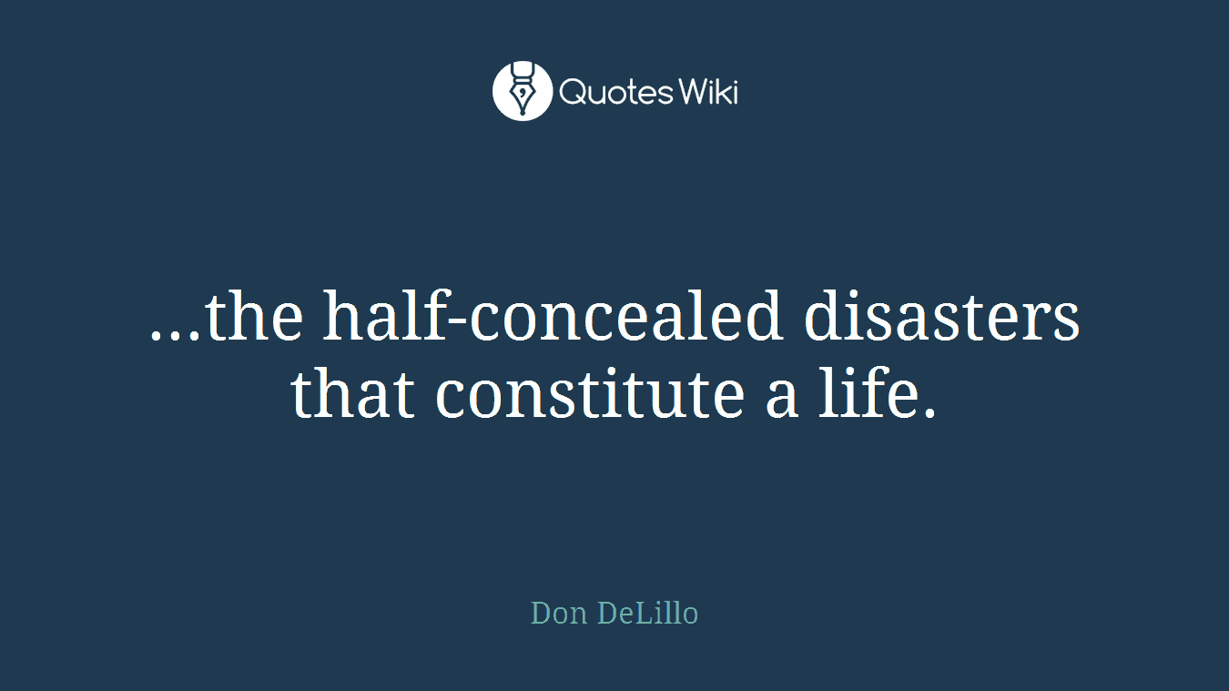 ...the half-concealed disasters that constitute a life.