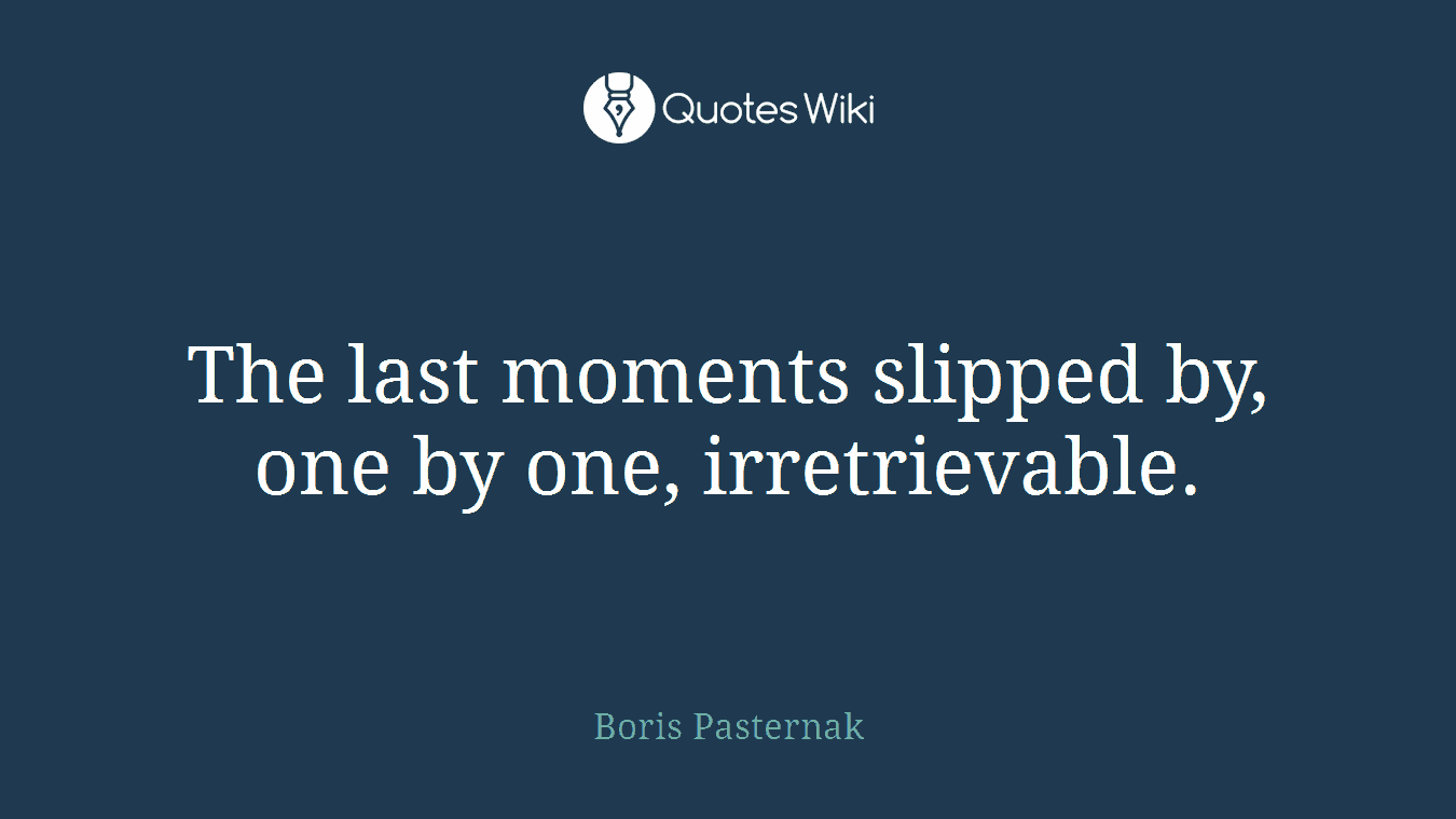 The last moments slipped by, one by one, irretrievable.