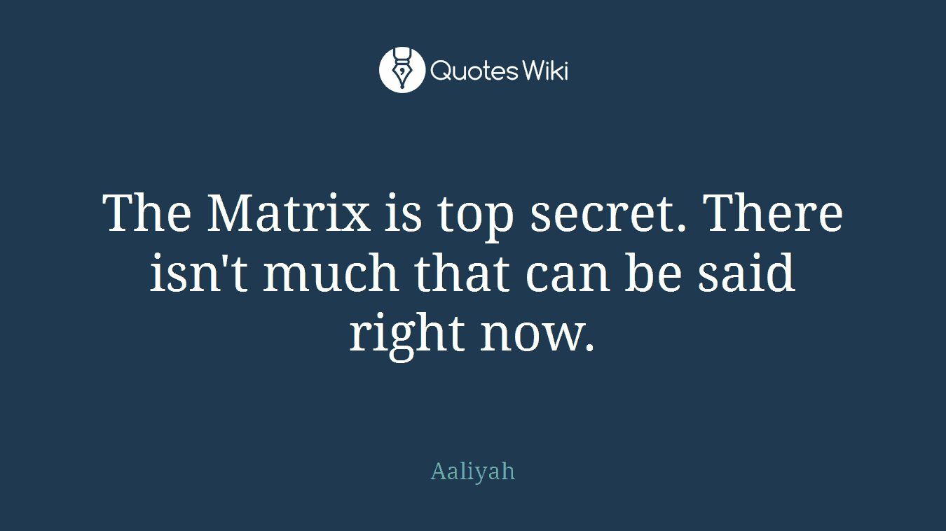 The Matrix is top secret. There isn't much that can be said right now.