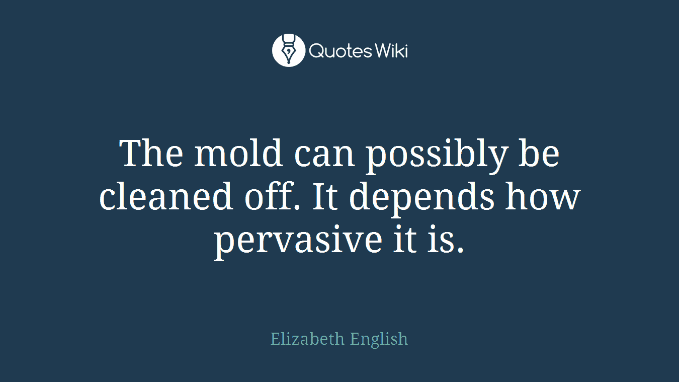 The mold can possibly be cleaned off. It depends how pervasive it is.