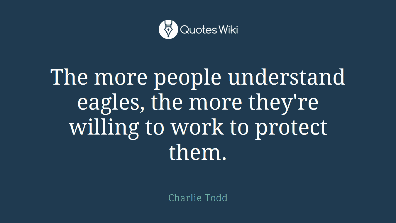 The more people understand eagles, the more they're willing to work to protect them.
