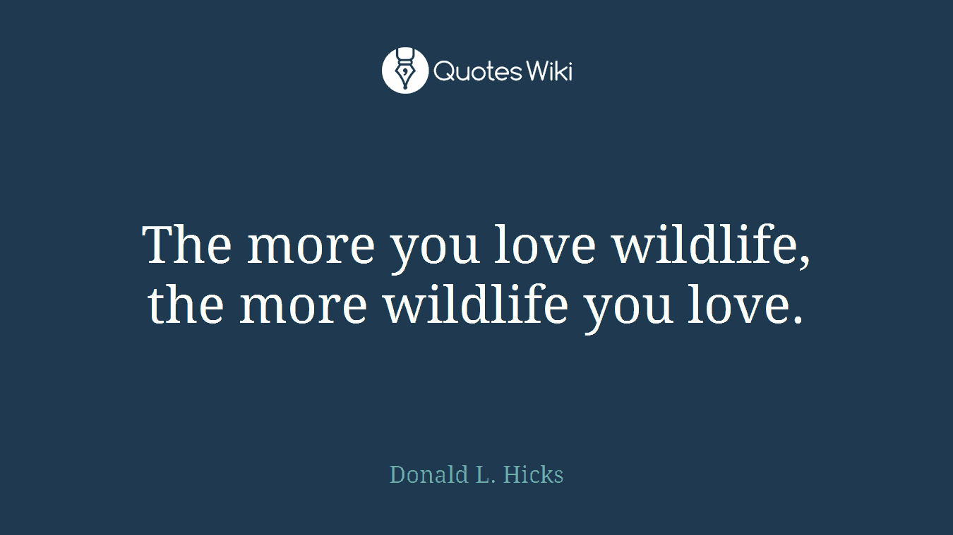 The more you love wildlife, the more wildlife you love.