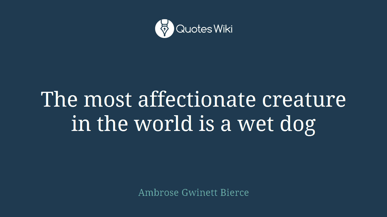 The most affectionate creature in the world is a wet dog