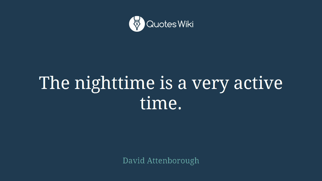 The nighttime is a very active time.