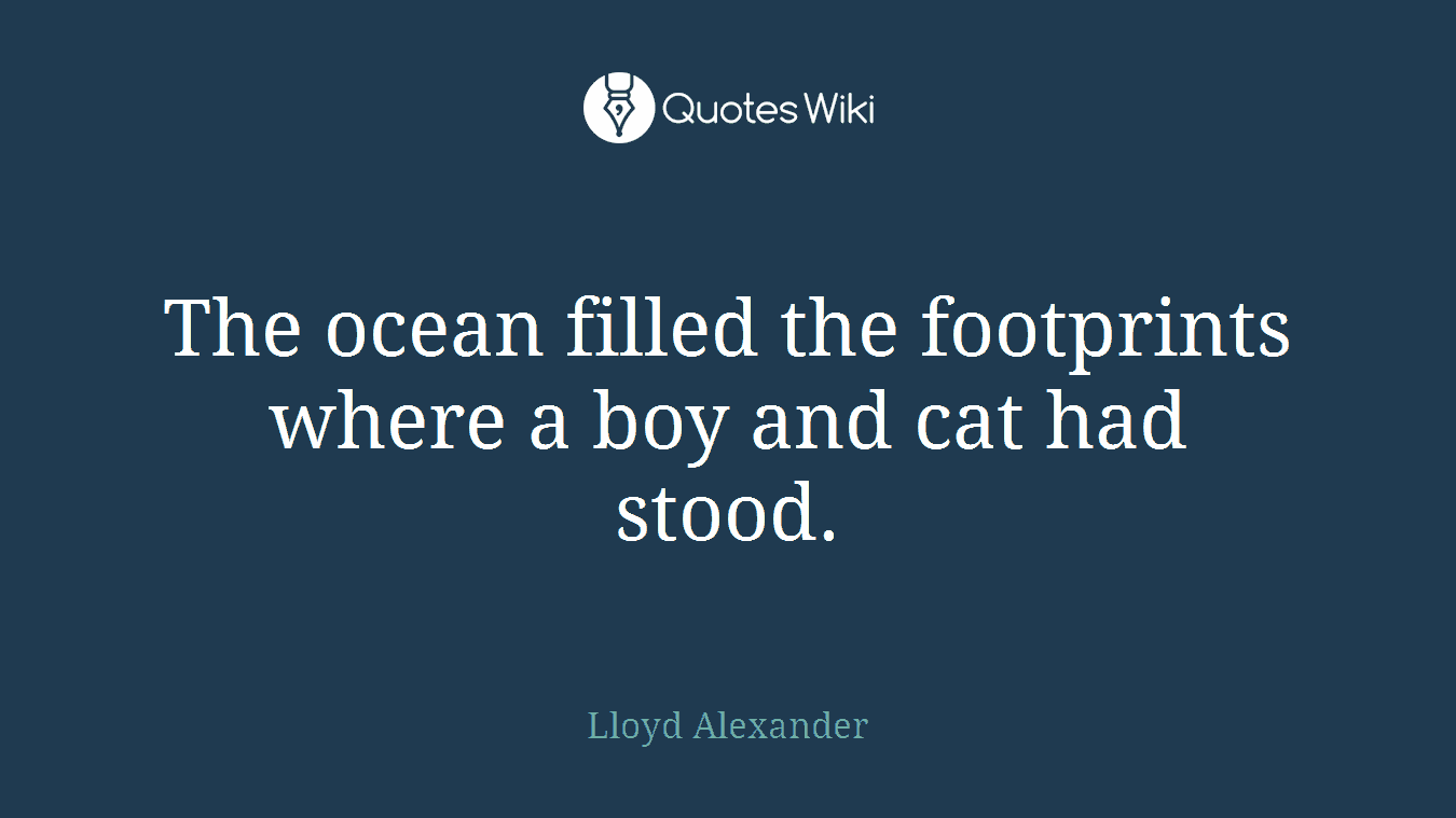 The ocean filled the footprints where a boy and cat had stood.
