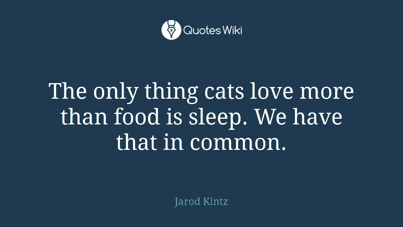 The only thing cats love more than food is sleep. We have that in common.