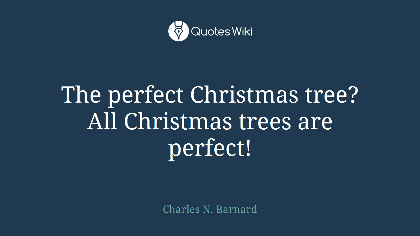 The perfect Christmas tree? All Christmas trees are perfect!
