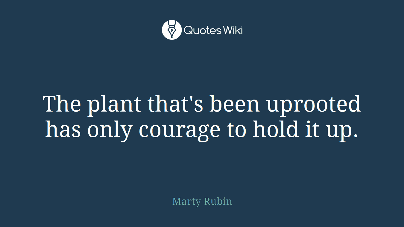 The plant that's been uprooted has only courage to hold it up.